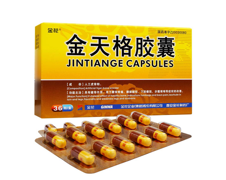 就是爱宠你