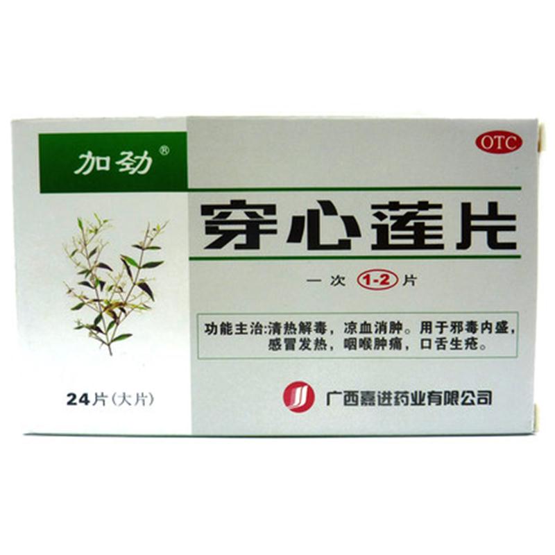 【加劲】穿心莲片24片(大片)